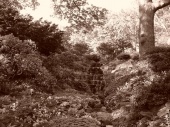 DSC08219.JPG
